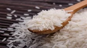 تطورات أسعار الأرز الشعير في الأسواق المصرية خلال تعاملات يوم الخميس 5 مارس